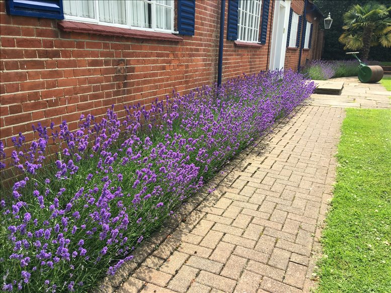 Office for Rent on High Road, Thornwood, Brickfield House, Essex Chingford