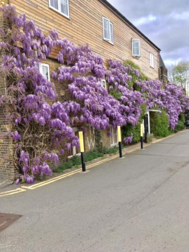 Office for Rent on 12 Ravensbury Terrace Earlsfield